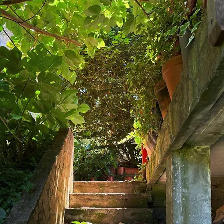 Casa Malde *