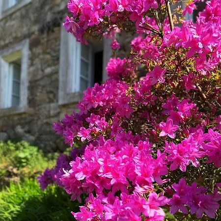 Casa Malde