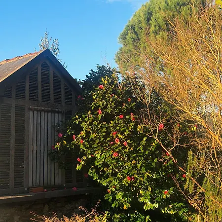 Villa Casa Malde